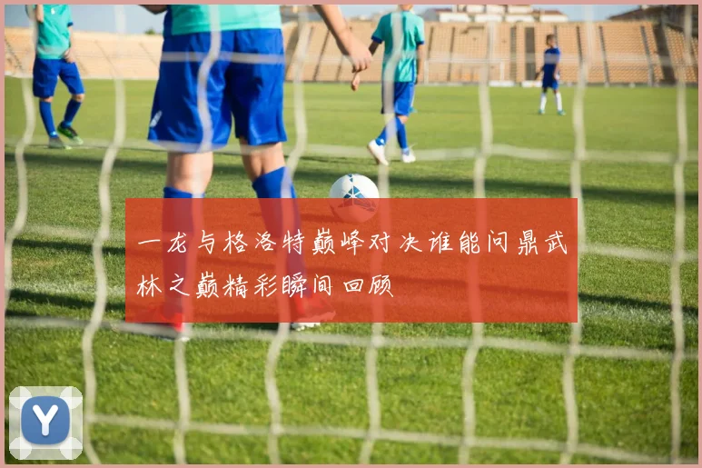 一龙与格洛特巅峰对决谁能问鼎武林之巅精彩瞬间回顾