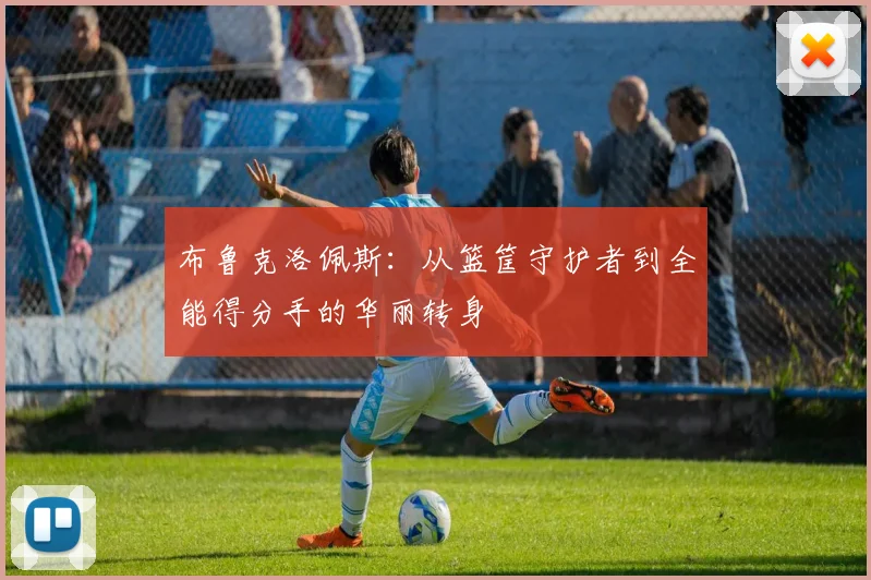 布鲁克洛佩斯：从篮筐守护者到全能得分手的华丽转身